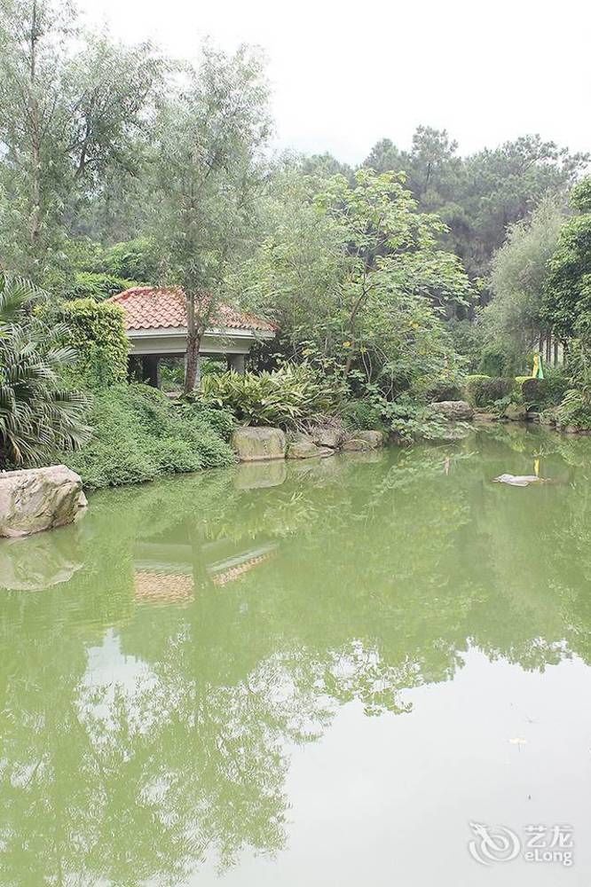 Grace Garden Hotel Qingyuan  Bagian luar foto